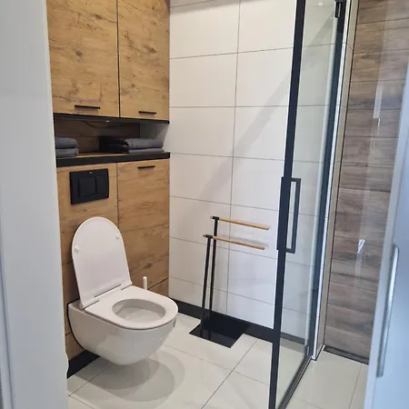 Apartment Apartament Studio Kaliska Turek